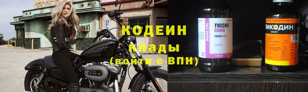 ГАЛЛЮЦИНОГЕННЫЕ ГРИБЫ Переславль-Залесский
