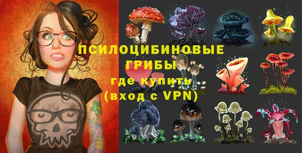 ГАЛЛЮЦИНОГЕННЫЕ ГРИБЫ Переславль-Залесский