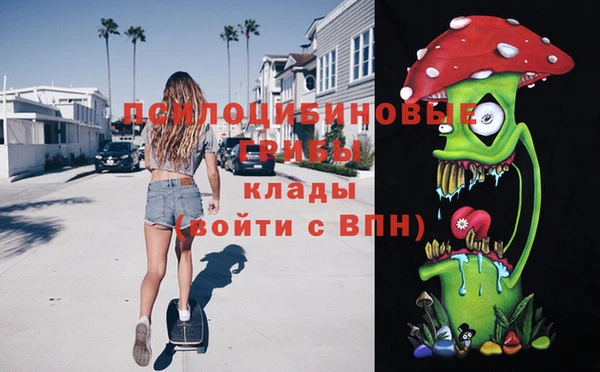 меф Пересвет