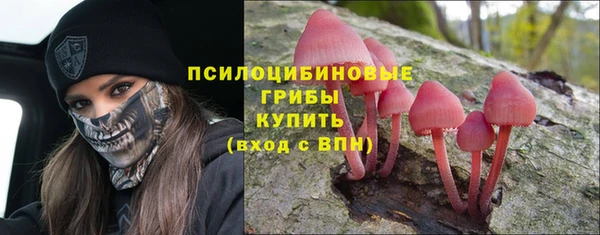 Альфа ПВП Осташков