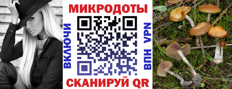 Галлюциногенные грибы прущие грибы  Радужный 